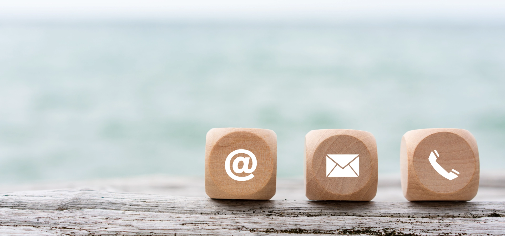 Prenotazioni & Contatti