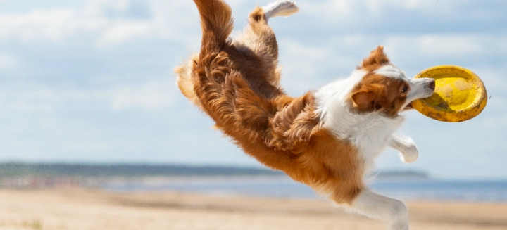 Noi siamo i benvenuti